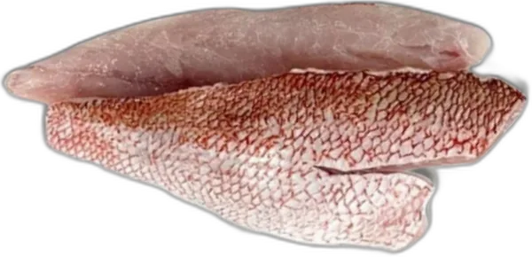Red Fish Fillet