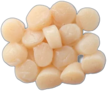 Scallop Meat