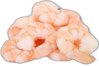 Shrimp Meat